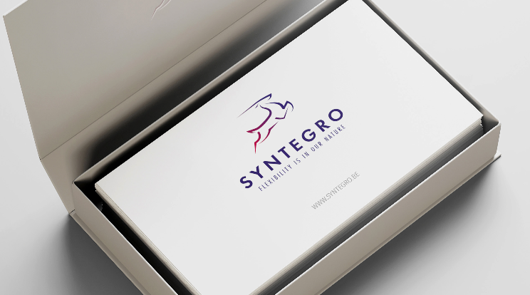 Syntegro business cards