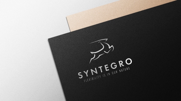 Syntegro stationary