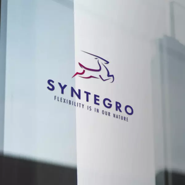 Syntegro logo in window