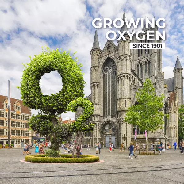 Arbor - Growing Oxygen since 1901