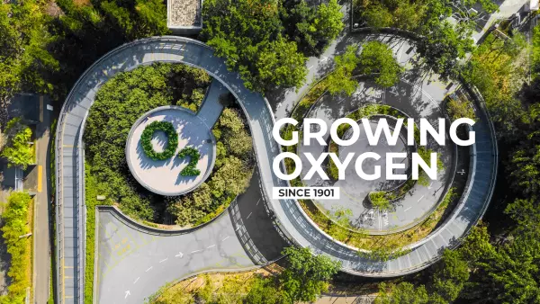 Arbor growing oxygen