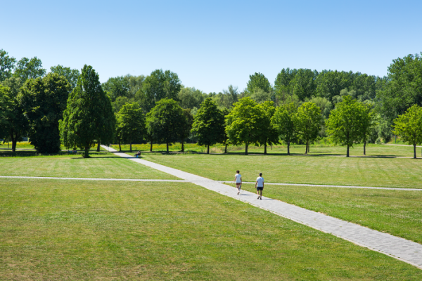 Pliniuspark Tongeren